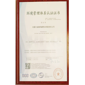 環境管（guǎn）理體係認證證書