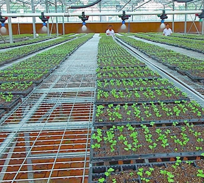 工程（chéng）案例