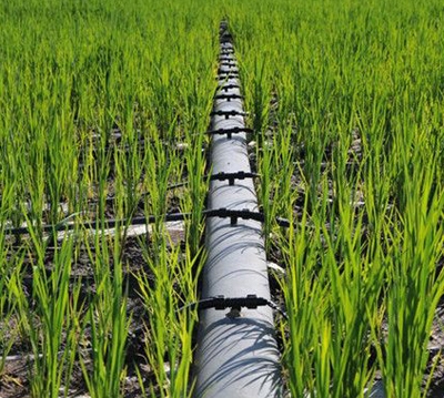 節水灌溉案例