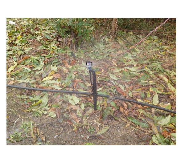 地插微噴實（shí）景