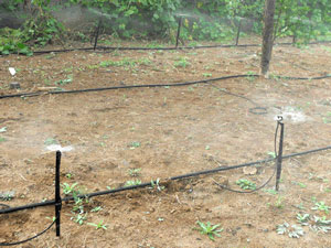 內(nèi)蒙古節水灌溉 內(nèi)蒙古節水灌溉