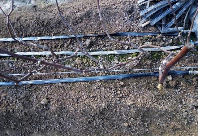 滴灌帶 滴灌(guàn)帶