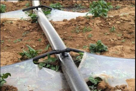 滴灌帶.jpg 滴灌帶.jpg