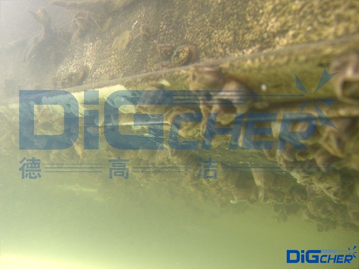 海（hǎi）生物附著