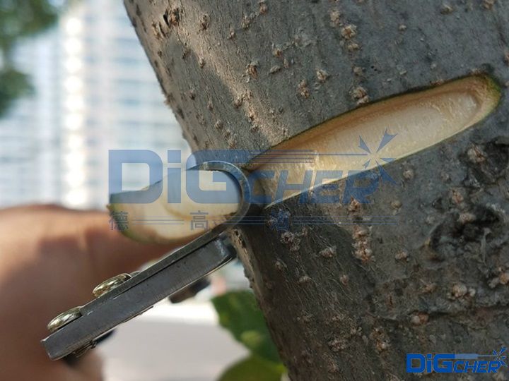 人工去（qù）皮