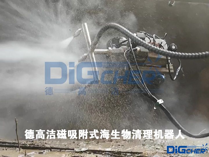 德高（gāo）潔磁吸附式海（hǎi）生物清理機器人